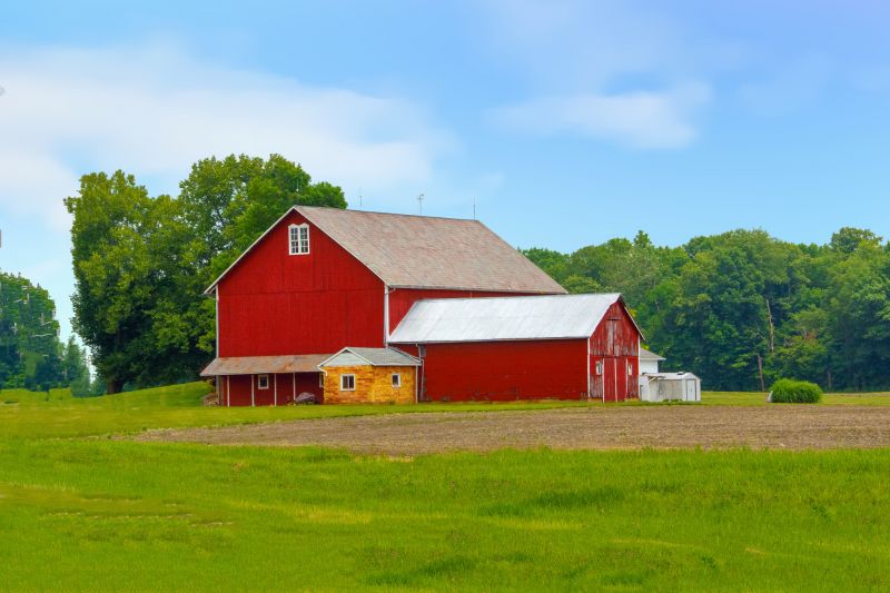 Barn Restoration