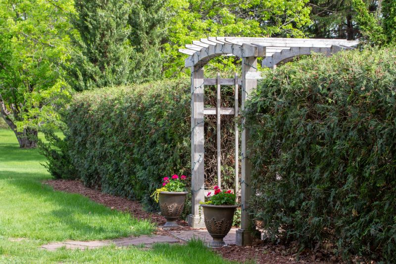 Arbor Replacement in Alpharetta, GA