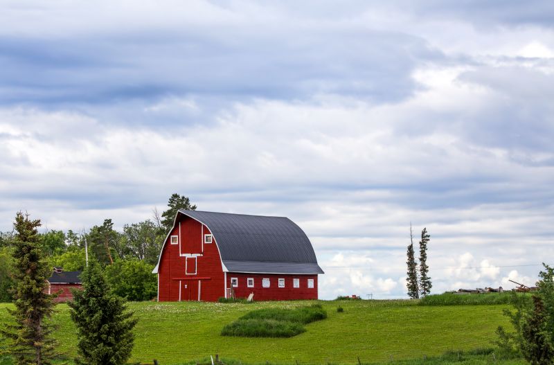 Barn Renovation in Wilmington, NC