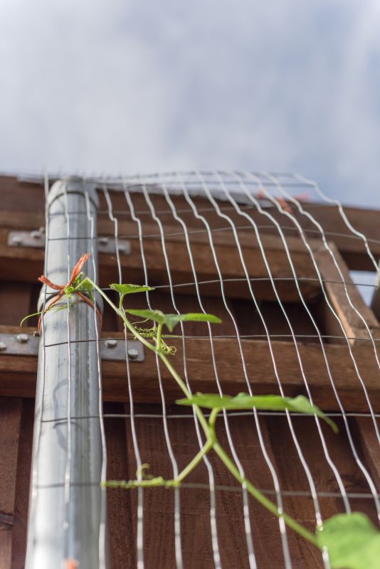 Garden Trellis Installation in Conroe, TX
