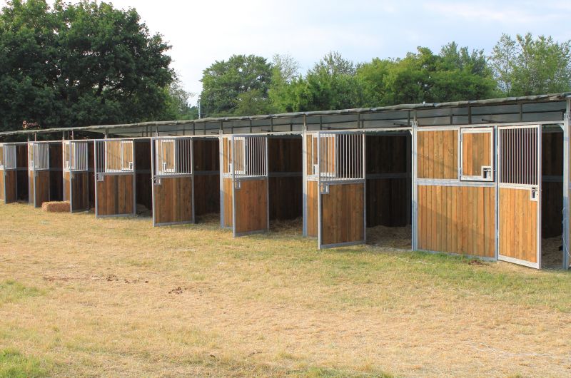 Horse Shelter Construction in Conroe, TX