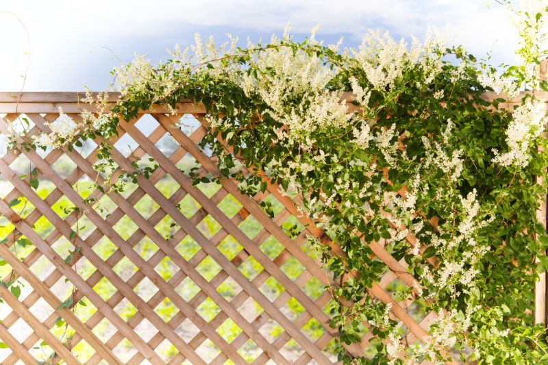 Lattice Arbor Installation in Kansas City, KS
